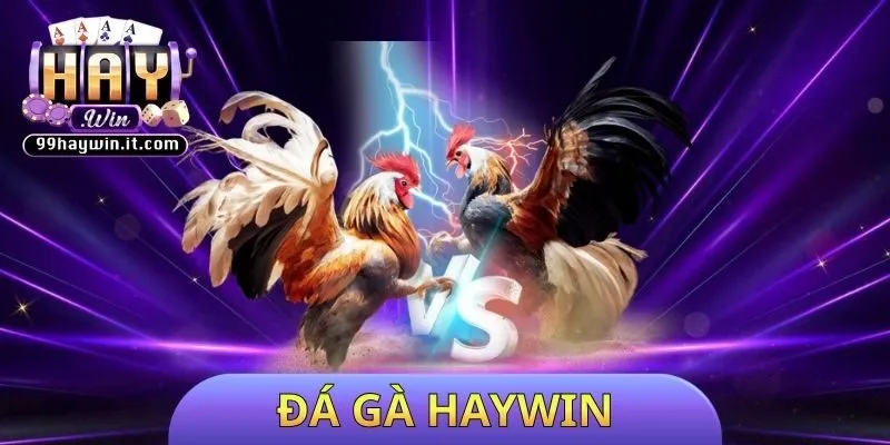 Đá gà HAYWIN