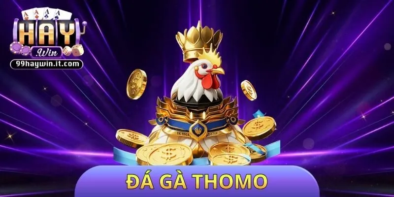 đá gà Thomo