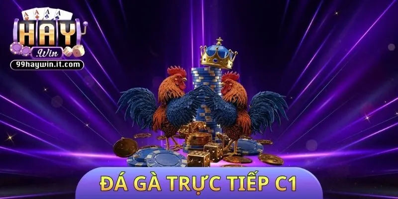 đá gà trực tiếp C1