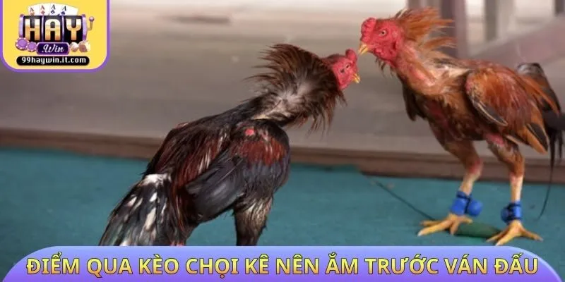 Điểm qua các kèo chọi kê nên nắm trước ván đấu