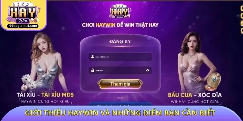 Giới thiệu HAYWIN và những điểm bạn cần biết