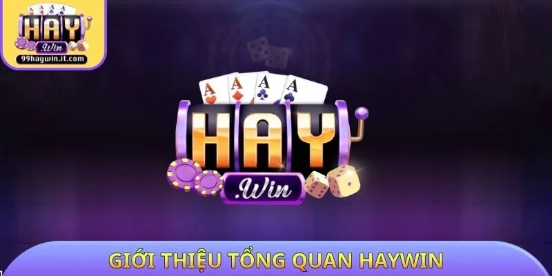 Giới thiệu tổng quan HAYWIN