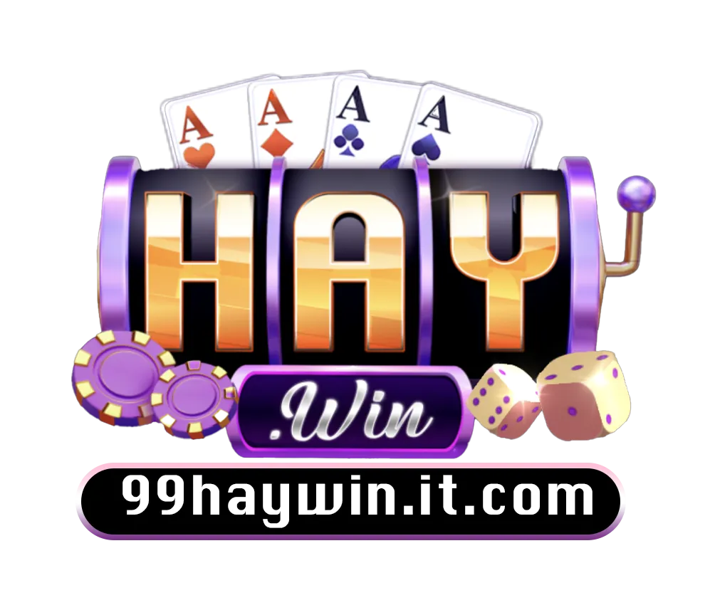 99haywin.it.com