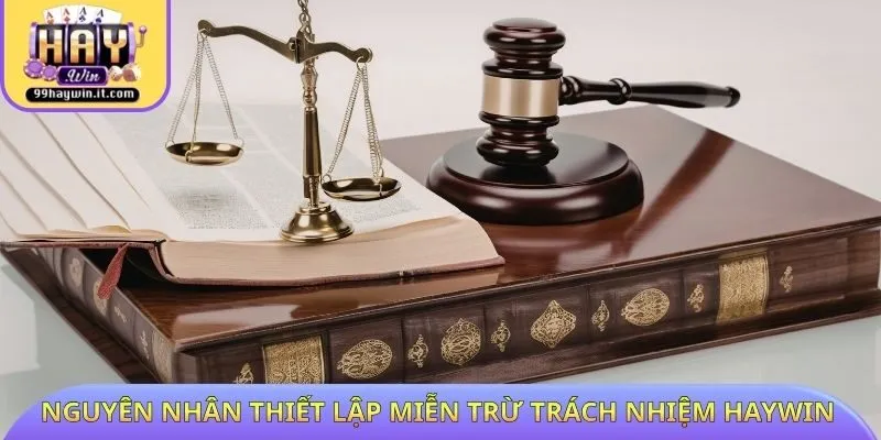 Nguyên nhân thiết lập miễn trừ trách nhiệm HAYWIN