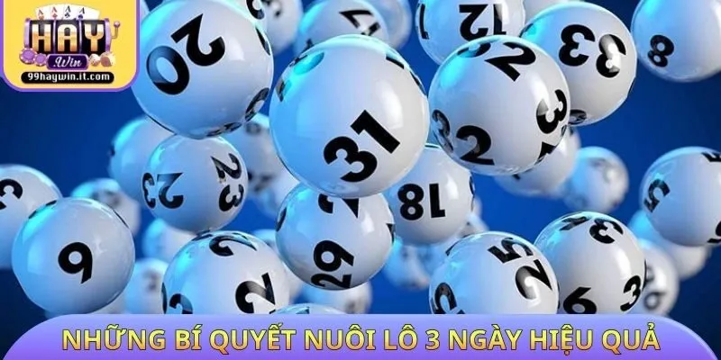 Những bí quyết nuôi lô 3 ngày hiệu quả