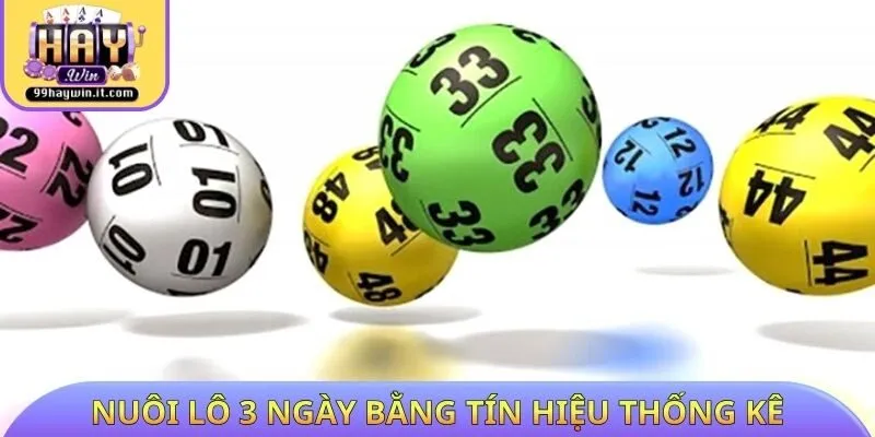 Nuôi lô khung 3 ngày bằng tín hiệu thống kê