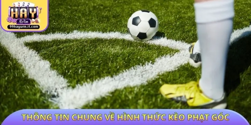 Thông tin chung về hình thức kèo phạt góc