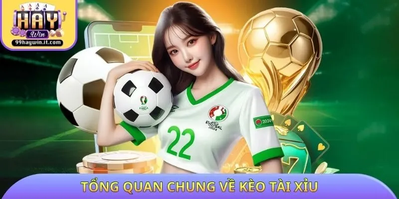 Tổng quan chung về kèo tài xỉu