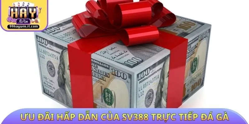 Ưu đãi hấp dẫn của Sv388 trực tiếp đá gà